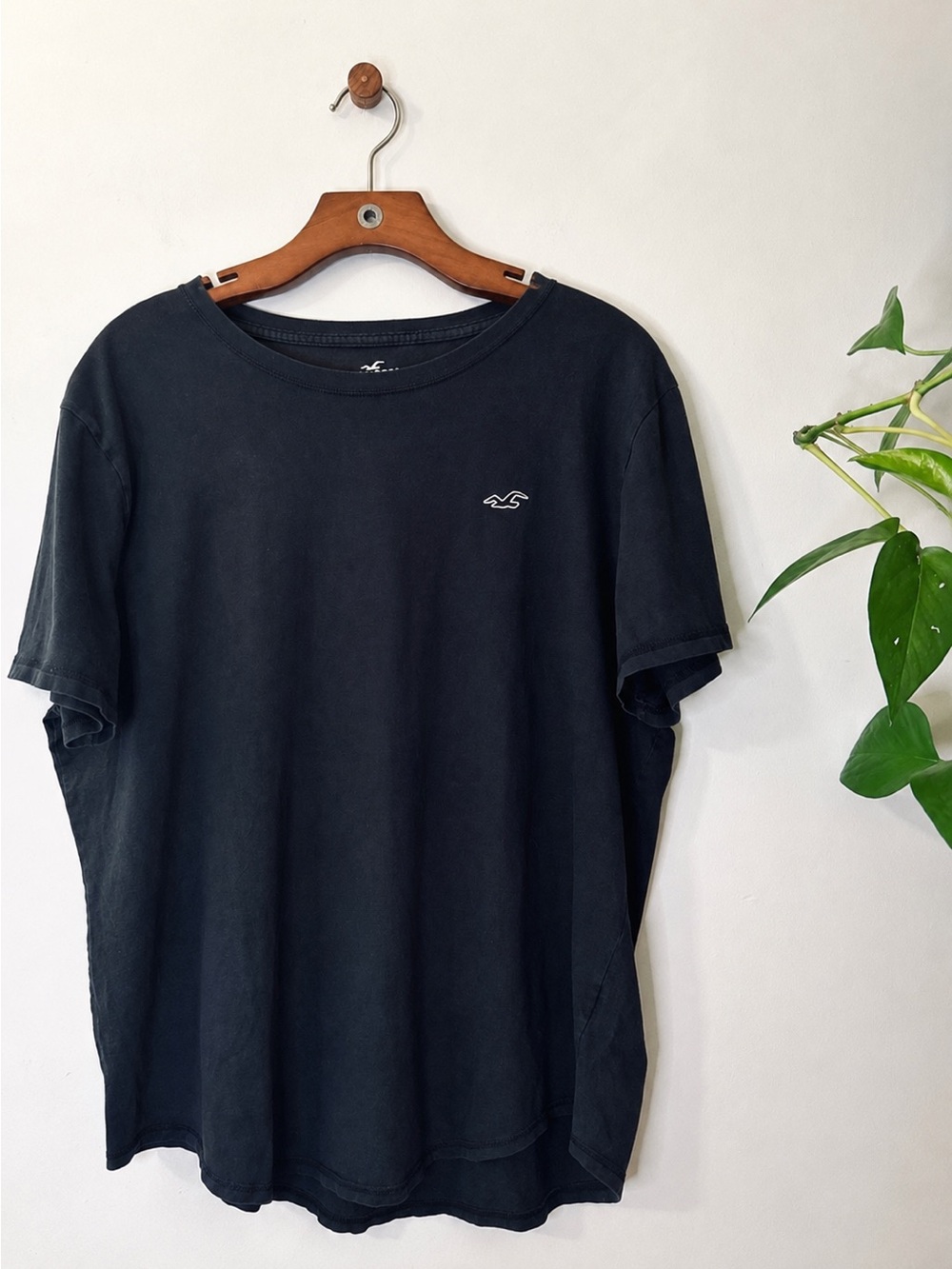 Hollister Must-Have Collection Black Crew Neck T-Shirt XL 100% Cotton